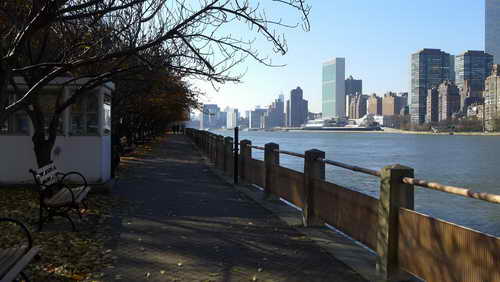 NYC_2012-11-17 10-55-44_P1070070